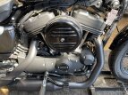 Thumbnail Photo 4 for 2019 Harley-Davidson Sportster Iron 1200