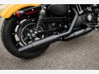 Thumbnail Photo 31 for 2019 Harley-Davidson Sportster Iron 883