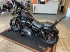 Thumbnail Photo 11 for 2019 Harley-Davidson Sportster Iron 883
