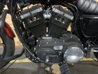 Thumbnail Photo 9 for 2019 Harley-Davidson Sportster Iron 883