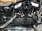 Thumbnail Photo 9 for 2019 Harley-Davidson Sportster Forty-Eight