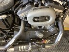 Thumbnail Photo 9 for 2019 Harley-Davidson Sportster Roadster