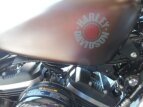 Thumbnail Photo 2 for 2019 Harley-Davidson Sportster Iron 883