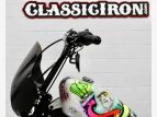 Thumbnail Photo 16 for 2019 Harley-Davidson Sportster Iron 1200