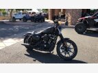 Thumbnail Photo 68 for 2019 Harley-Davidson Sportster Iron 883