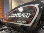Thumbnail Photo 20 for 2019 Harley-Davidson Sportster Roadster