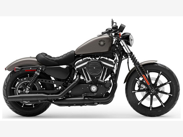 Thumbnail Photo undefined for 2019 Harley-Davidson Sportster