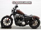 Thumbnail Photo 3 for 2019 Harley-Davidson Sportster Iron 883