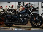 Thumbnail Photo 3 for 2019 Harley-Davidson Sportster Iron 883