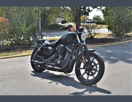 Photo 1 for 2019 Harley-Davidson Sportster Iron 883