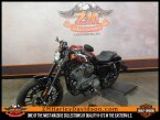 Thumbnail Photo 5 for 2019 Harley-Davidson Sportster Roadster