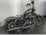 2019 Harley-Davidson Sportster Iron 883 for sale 201309514