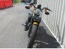2019 Harley-Davidson Sportster Iron 883 for sale 201321355