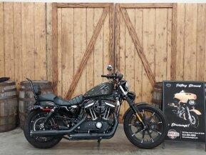 2019 Harley-Davidson Sportster Iron 883 for sale 201360903