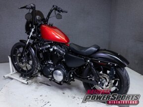 2019 Harley-Davidson Sportster Iron 883 for sale 201380207