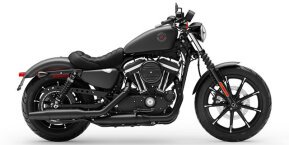 2019 Harley-Davidson Sportster Iron 883 for sale 201399515