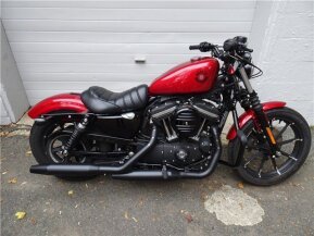 2019 Harley-Davidson Sportster Iron 883 for sale 201423854