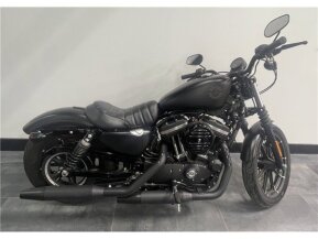 2019 Harley-Davidson Sportster Iron 883 for sale 201445026