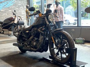 2019 Harley-Davidson Sportster for sale 201486512