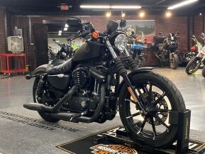 2019 Harley-Davidson Sportster for sale 201491399