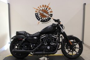 2019 Harley-Davidson Sportster Iron 883 for sale 201513519