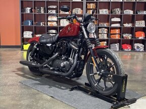 2019 Harley-Davidson Sportster for sale 201595813