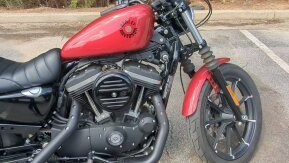 2019 Harley-Davidson Sportster Iron 883 for sale 201609927