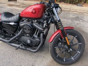 2019 Harley-Davidson Sportster Iron 883 for sale 201609927