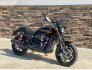 2019 Harley-Davidson Street Rod for sale 201278490