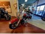 2019 Harley-Davidson Touring Road King for sale 201399276