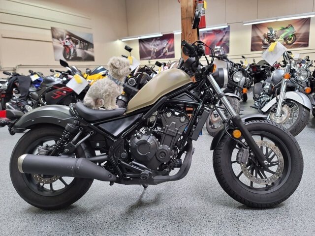 honda rebel 500cc 2019
