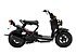 2019 Honda Ruckus for sale 200712477