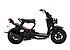 2019 Honda Ruckus for sale 200718867