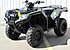 2019 Honda TRX250X for sale 201059681