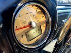 Thumbnail Photo 11 for 2019 Indian Chieftain Classic Icon