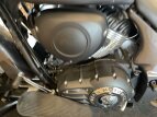 Thumbnail Photo 12 for 2019 Indian Chieftain