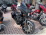 2019 Indian Chieftain Dark Horse for sale 201383713