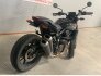 2019 Indian FTR 1200 S for sale 201313489