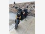 2019 Indian FTR 1200 S for sale 201368667