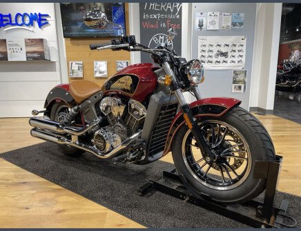 Thumbnail Photo undefined for 2019 Indian Scout