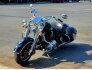 2019 Indian Springfield for sale 201347975