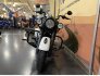 2019 Indian Springfield Dark Horse for sale 201401483