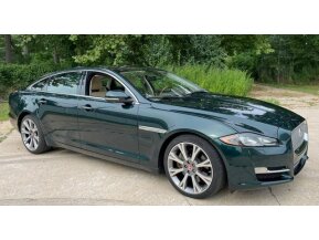 2019 Jaguar XJ for sale 101775891