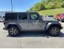 2019 Jeep Wrangler for sale 101751795