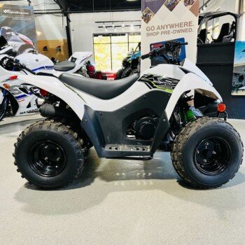 2019 Kawasaki KFX90