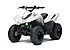2019 Kawasaki KFX90 for sale 200772451