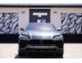 2019 Lamborghini Urus for sale 101673752