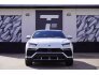 2019 Lamborghini Urus for sale 101711707
