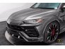 2019 Lamborghini Urus for sale 101727423