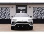 2019 Lamborghini Urus for sale 101742778